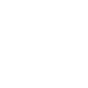 pin icon